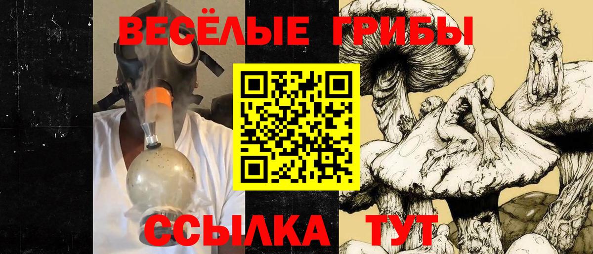 Псилоцибиновые грибы Magic Shrooms Качканар